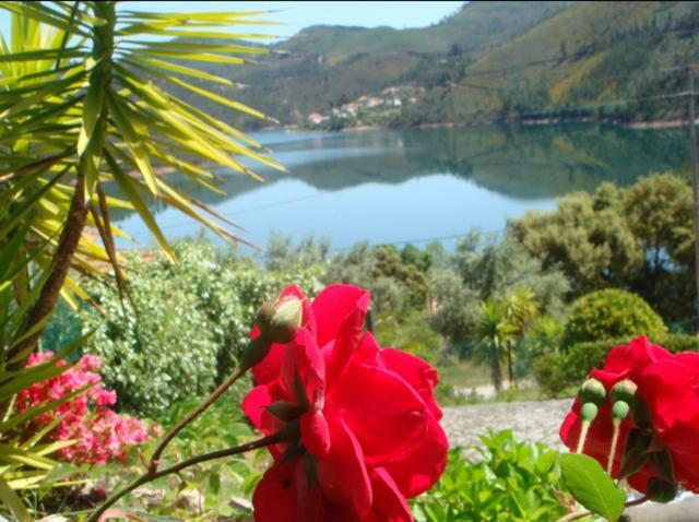 Lakeside Rest Holiday home Ferreira do Zezere